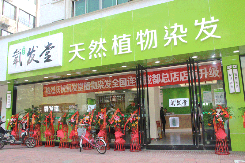 植物染发加盟店